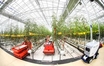 點點手機(jī)就能管理大棚，濰坊壽光以數(shù)字化賦能蔬菜產(chǎn)業(yè)升級