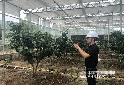 智能農業 告別“看天吃飯”，開啟“智慧動腦”新紀元
