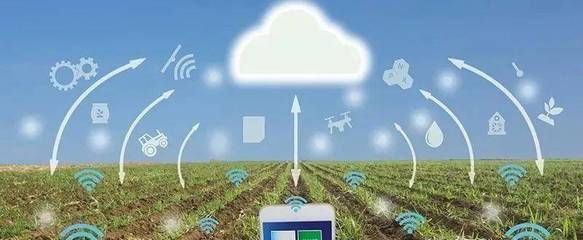 構(gòu)建新農(nóng)業(yè) 智能農(nóng)業(yè)管理的創(chuàng)新與實(shí)踐探索