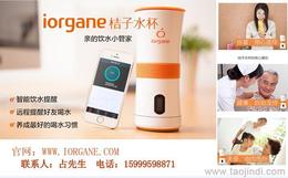 個(gè)人護(hù)理電器市場概覽 其他個(gè)人護(hù)理電器的價(jià)格、廠家與批發(fā)渠道